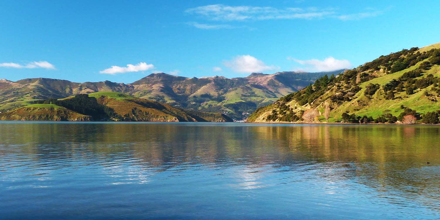 Family Mystery Picnic - Banks Peninsula and Akaroa