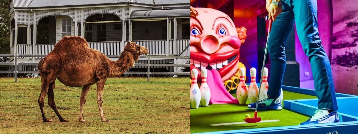 Pet & Putt Perth