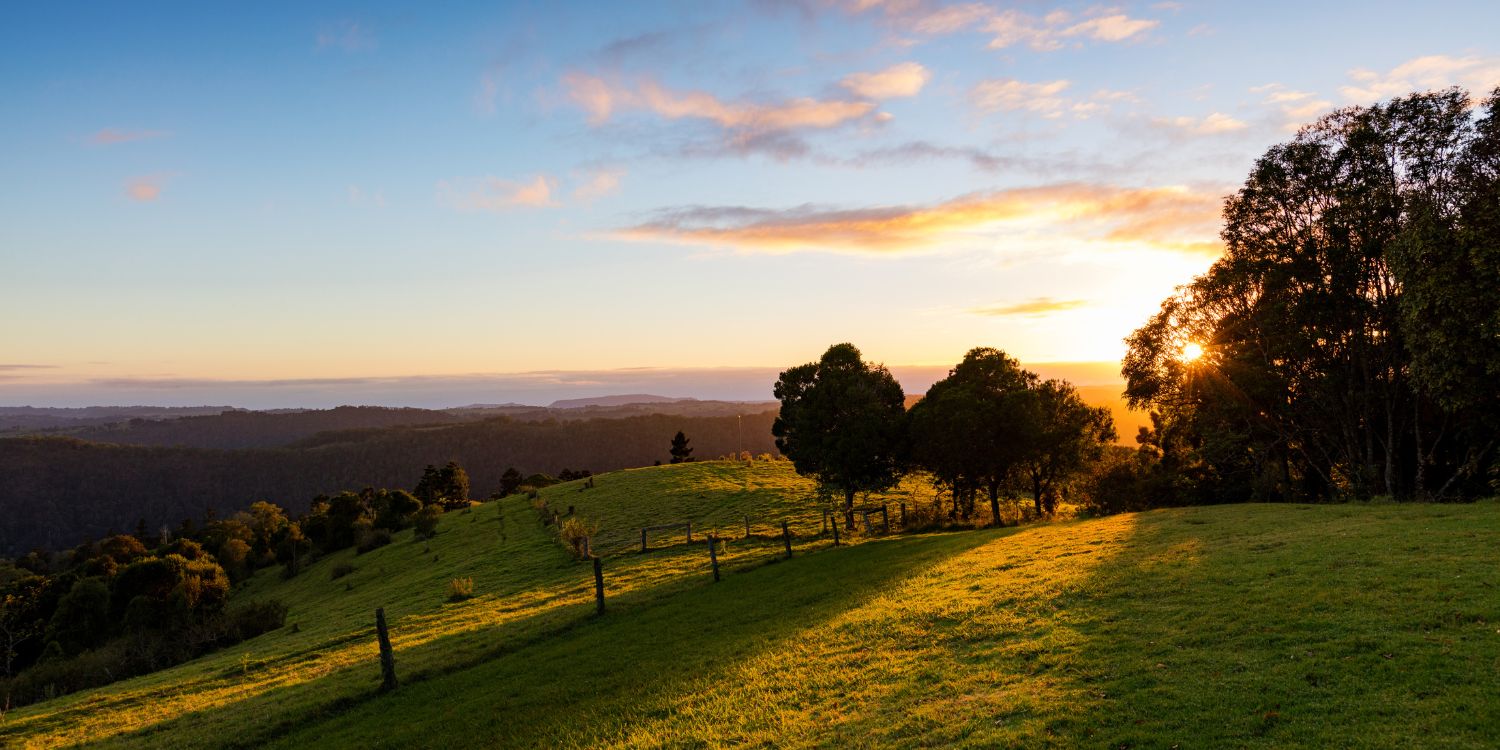 Mystery Region Adventure - Sunshine Coast Hinterland