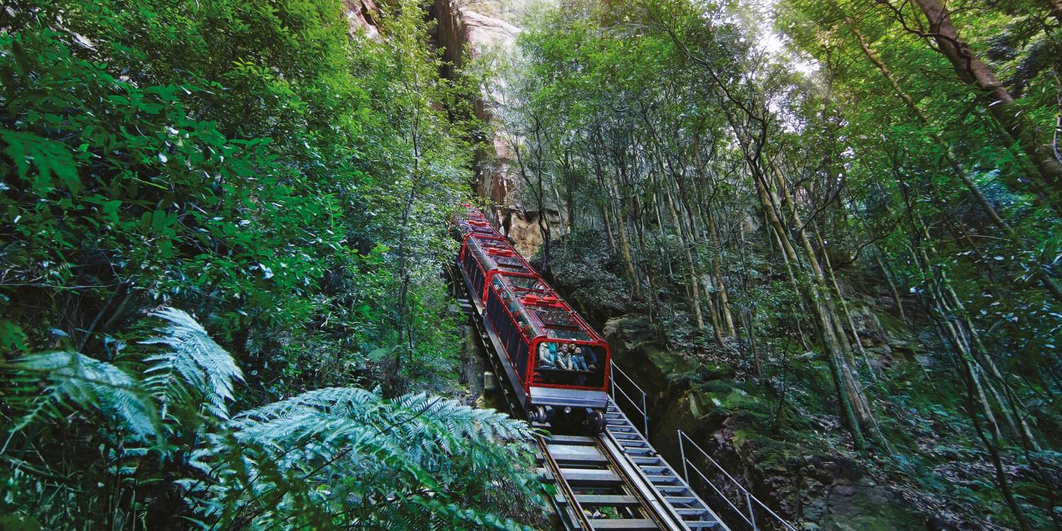 Blue Mountains Mystery Picnic with Scenic World Experience