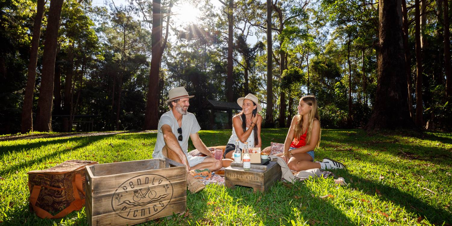 Tamborine Mountain Mystery Picnic with Friends and E-Bike Adventure