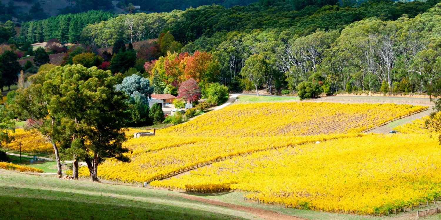 Farm to Table - Adelaide Hills