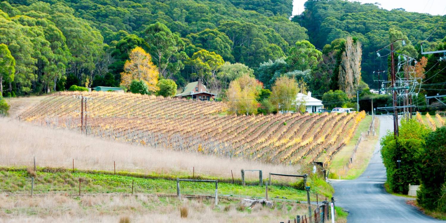 Farm to Table - Adelaide Hills