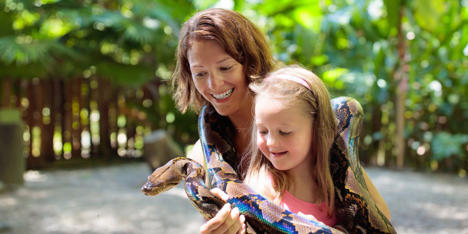 Reptiles Party