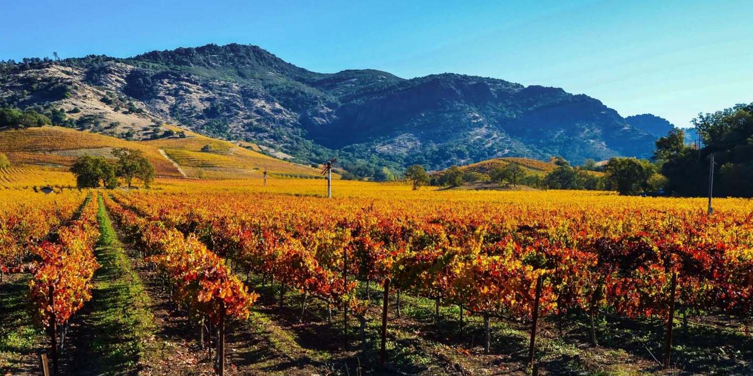 Mystery Wine Region Adventure - Napa Valley Tasting