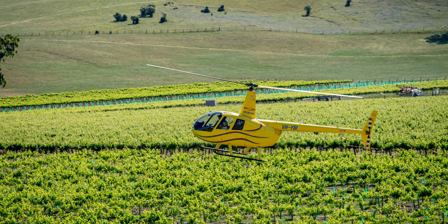 Barossa Valley Mystery Picnic and Helicopter Adventure