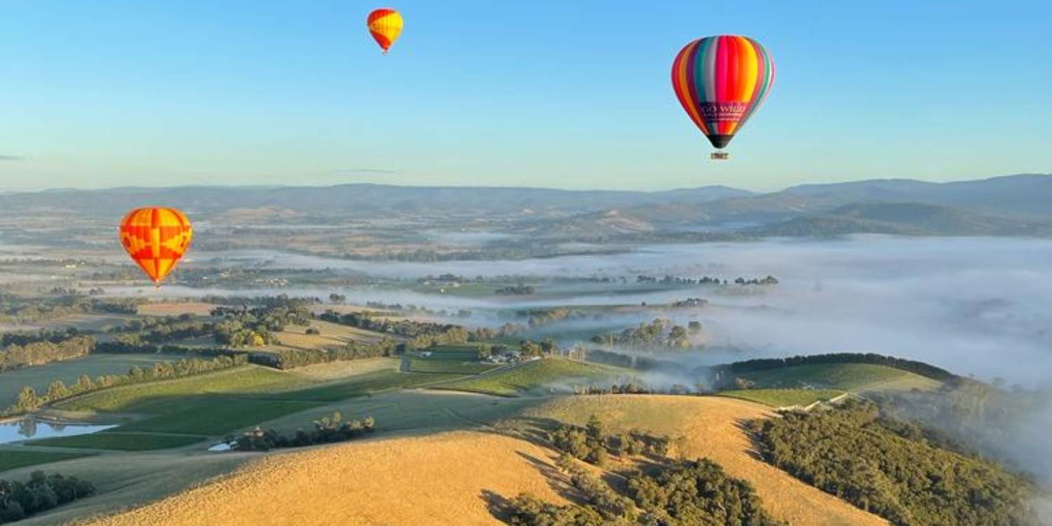 Yarra Valley Mystery Picnic and Hot Air Balloon Experience